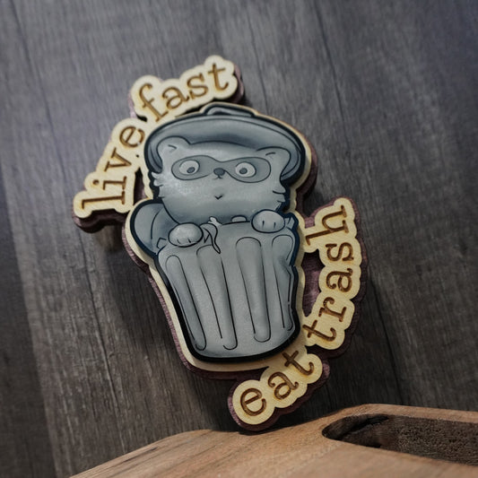 Live Fast Trash Panda wall decor